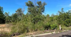 RESIDENTIAL LAND FOR BUNGALOW @ NASA CITY, CLOSE TO KPJ SPECIALIST BANDAR DATO ONN JALAN DESA PALMA, NASA CITY, JOHOR BAHRU
