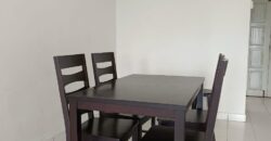 Fully Furnished Danga View Apartment for rent or Sale