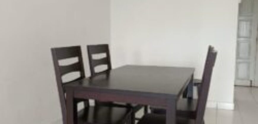 Fully Furnished Danga View Apartment for rent or Sale