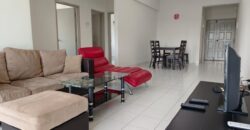 Fully Furnished Danga View Apartment for rent or Sale