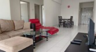 Fully Furnished Danga View Apartment for rent or Sale