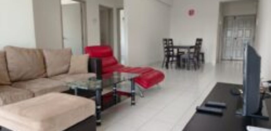 Fully Furnished Danga View Apartment for rent or Sale