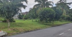BUNGALOW LAND FOR SALE- TAMAN UNIVERSITY