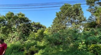 LAND FOR BUNGALOW, KG MELAYU LIMA KEDAI
