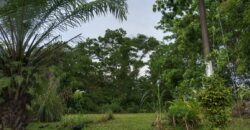 Permas Jaya Double Storey House for Sale