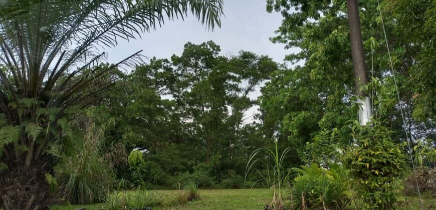 Permas Jaya Double Storey House for Sale