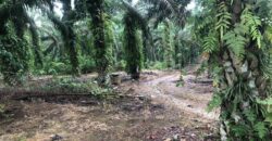 2 Acres Agriculture Land For Sale at Mukim Batu 35 Bukit Batu Kulai.*