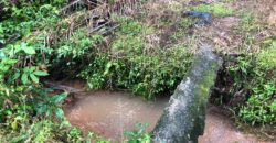 2 Acres Agriculture Land For Sale at Mukim Batu 35 Bukit Batu Kulai.*