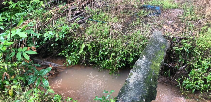 2 Acres Agriculture Land For Sale at Mukim Batu 35 Bukit Batu Kulai.*