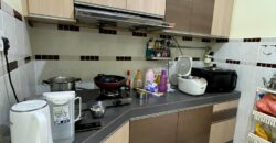 Seri Austin Double Storey House for Sale