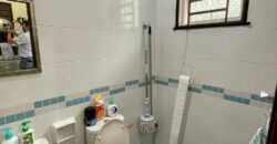 Seri Austin Double Storey House for Sale