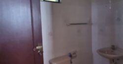 Mewah View Luxurious Apartments Pent House @ Taman Bukit Mewah, Tampoi for Rent*