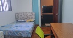 Mewah View Luxurious Apartments Pent House @ Taman Bukit Mewah, Tampoi for sale*
