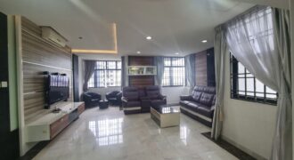 Mewah View Luxurious Apartments Pent House @ Taman Bukit Mewah, Tampoi for sale*