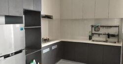 Danga Bay Apartment For Rental